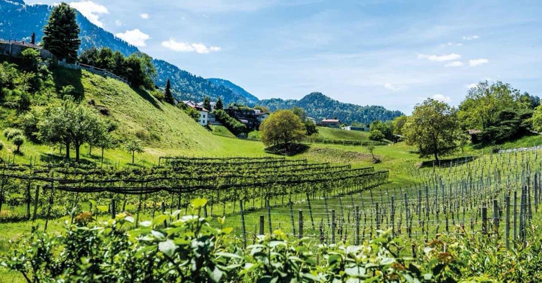 بونادوز Ferienwohnung Graubunden المظهر الخارجي الصورة